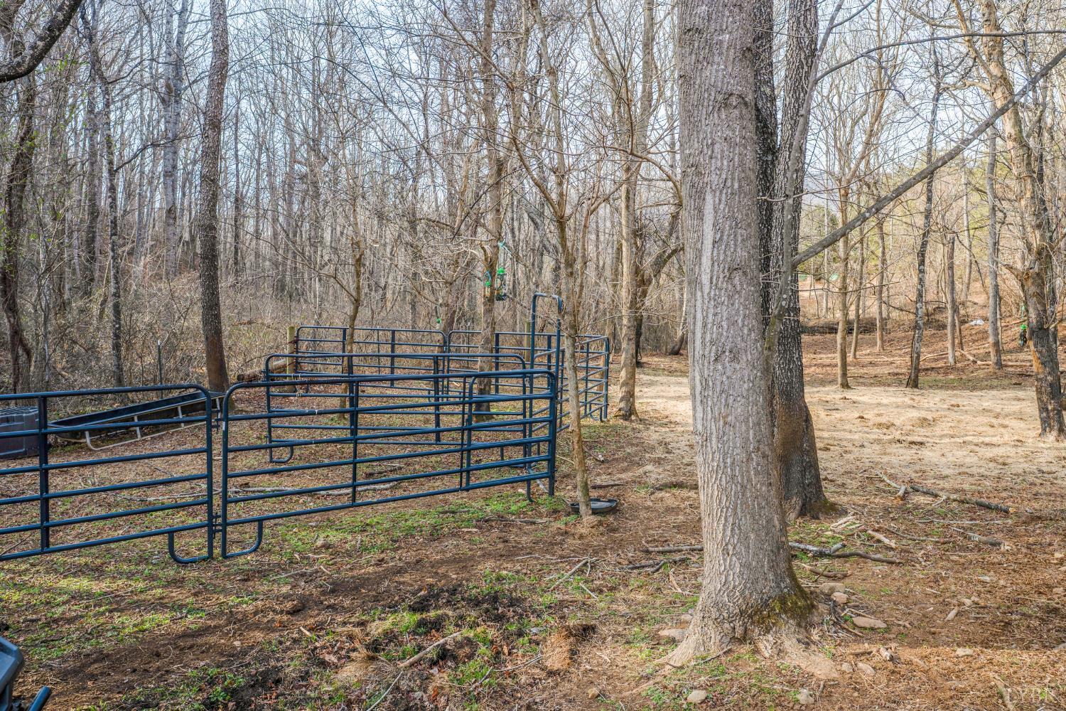 1509 Tolley Meadow Road Big Island, VA 24526 - Photo 66 of 81