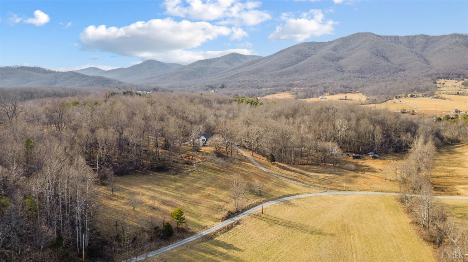 1509 Tolley Meadow Road Big Island, VA 24526 - Photo 68 of 81