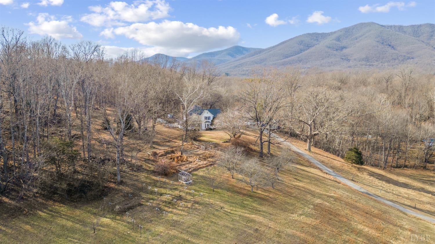 1509 Tolley Meadow Road Big Island, VA 24526 - Photo 69 of 81