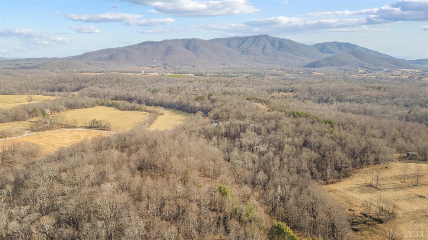 1509 Tolley Meadow Road Big Island, VA 24526 - Photo 70 of 81