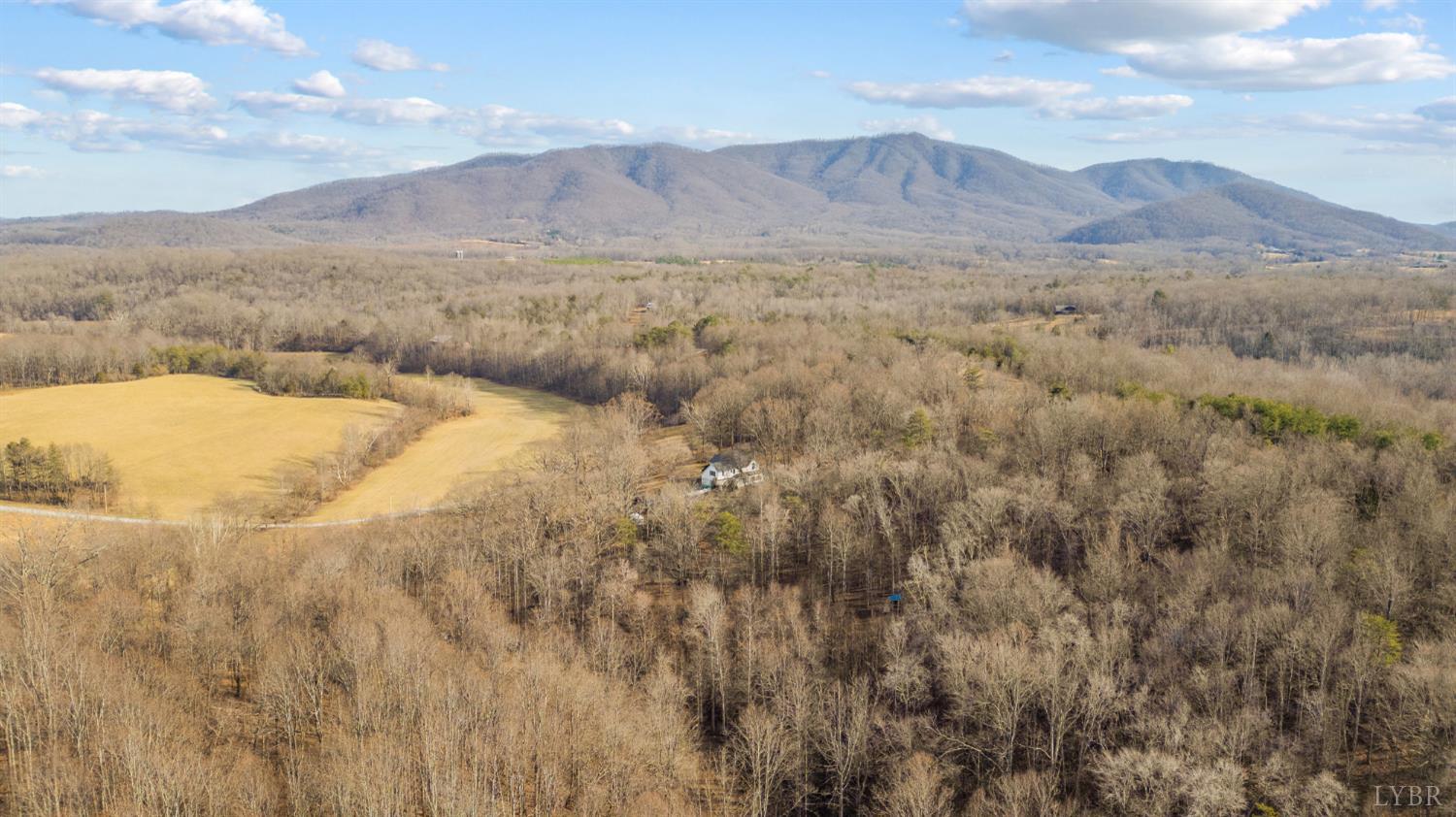 1509 Tolley Meadow Road Big Island, VA 24526 - Photo 71 of 81