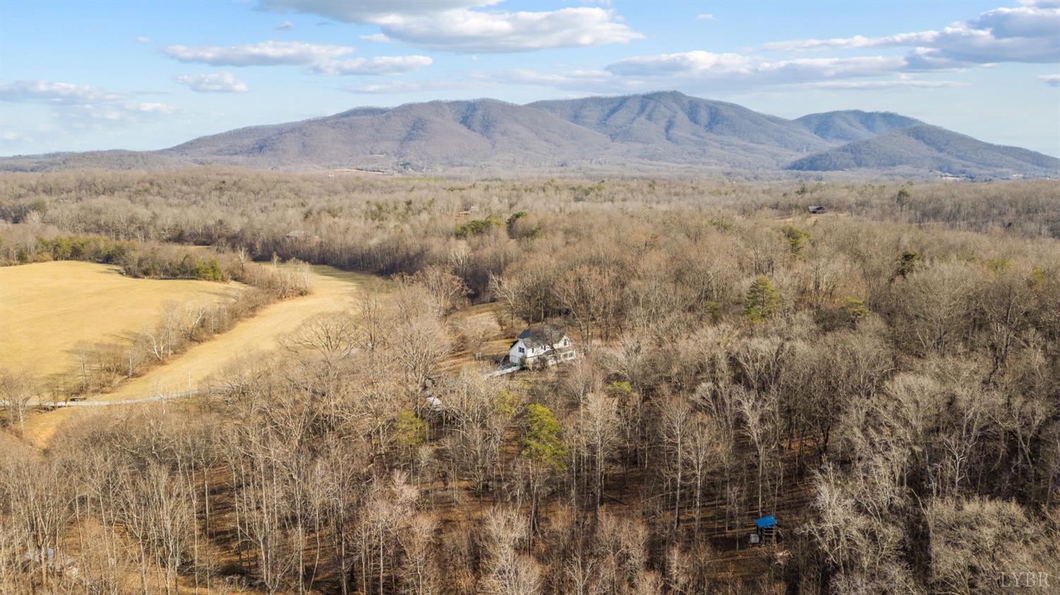 1509 Tolley Meadow Road Big Island, VA 24526 - Photo 72 of 81