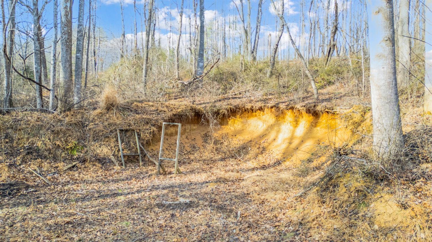 1509 Tolley Meadow Road Big Island, VA 24526 - Photo 75 of 81