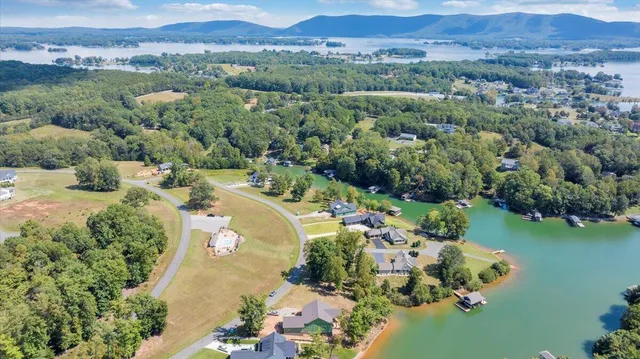 an aerial view of lake residential houses with outdoor space and trees all around