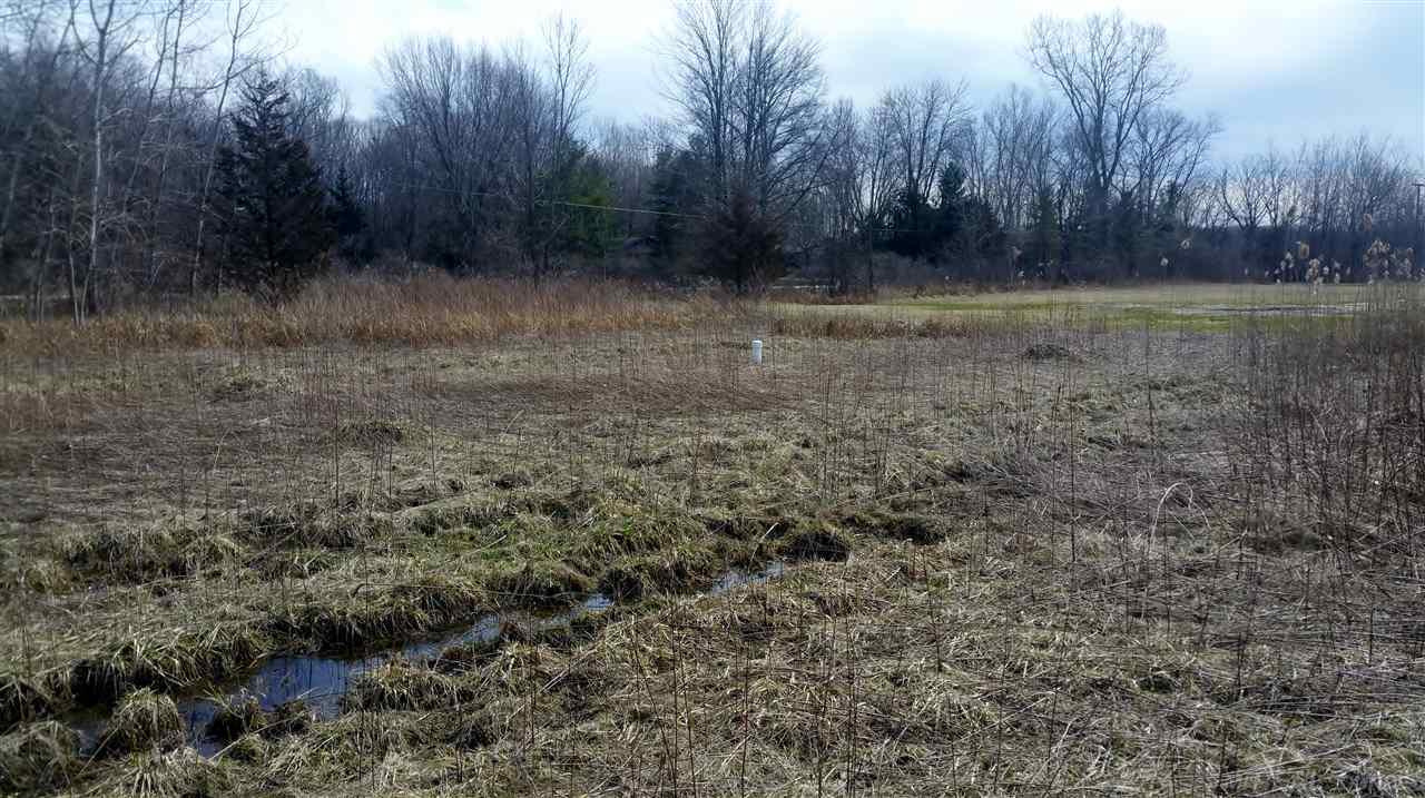 0 Mayer Road Casco, MI 48064 - Photo 4 of 5