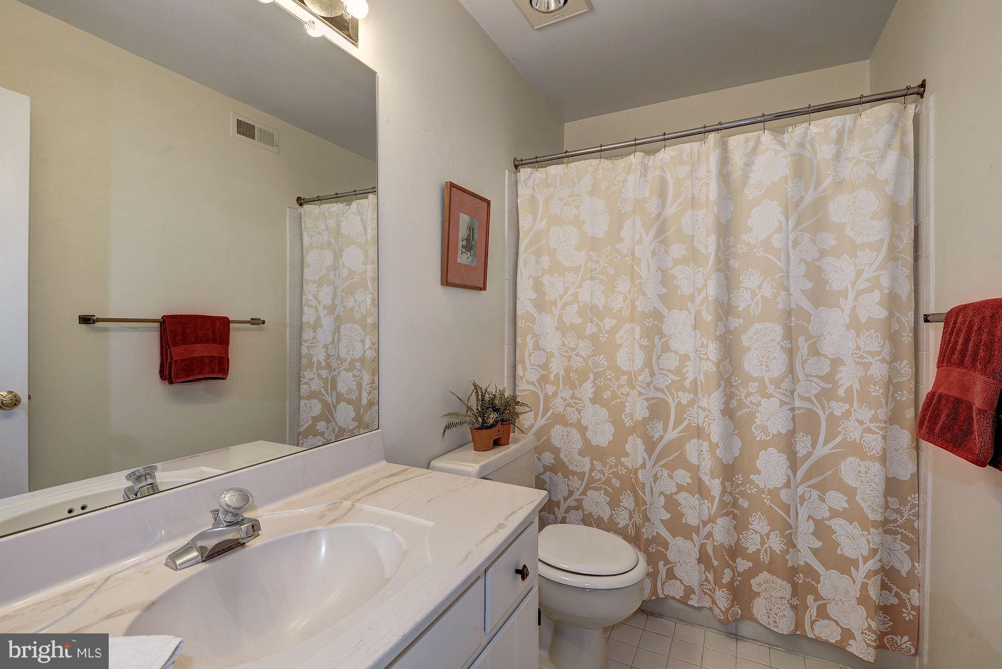 2325 North Glebe Road Arlington, VA 22207 - Photo 24 of 30 Hall Bath
