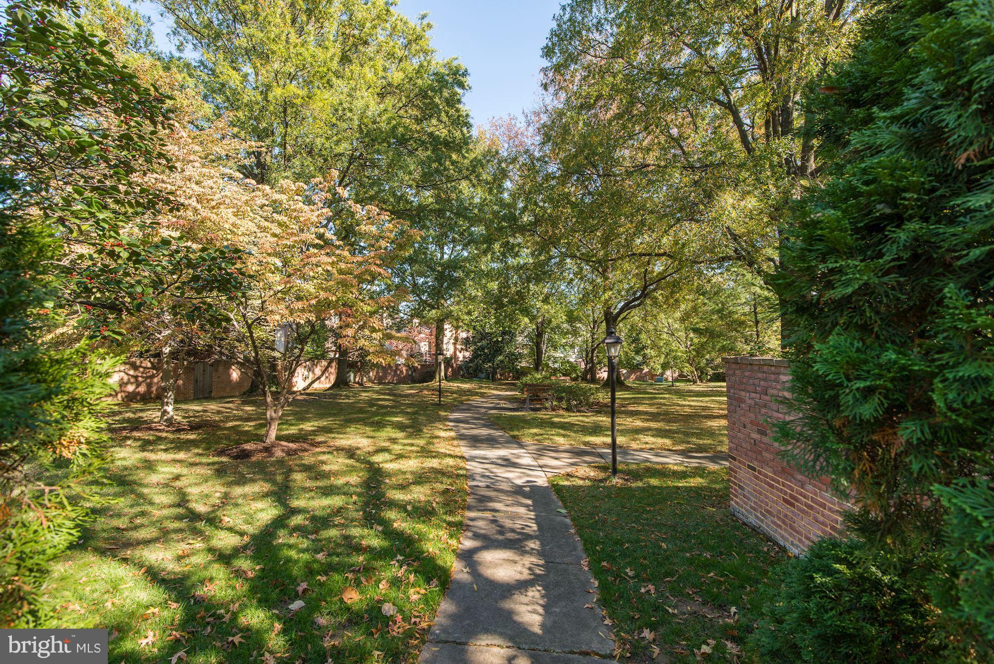 2325 North Glebe Road Arlington, VA 22207 - Photo 27 of 30 Private Common Garden