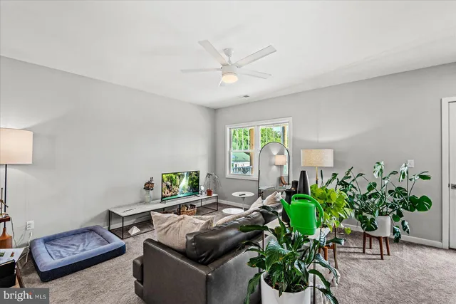 a living room with furniture and a potted plant