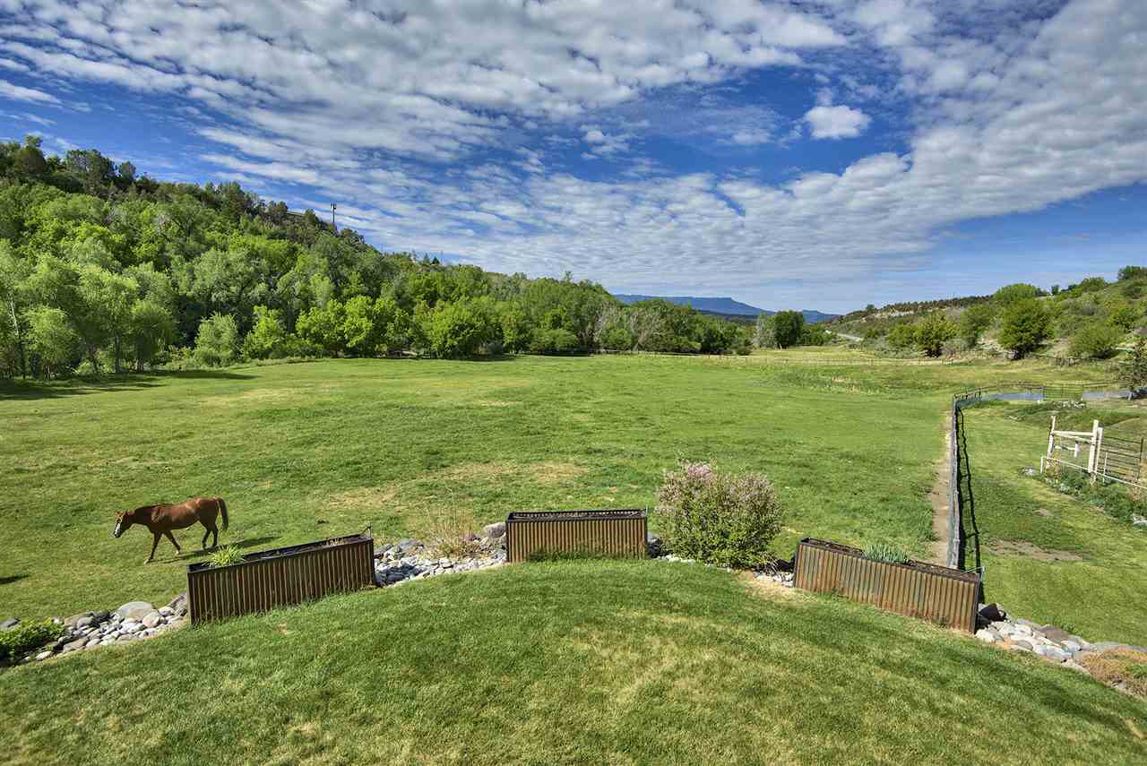 58857 58 9/10 Road Collbran, CO 81624 - Photo 35 of 42 Gallery Image 35