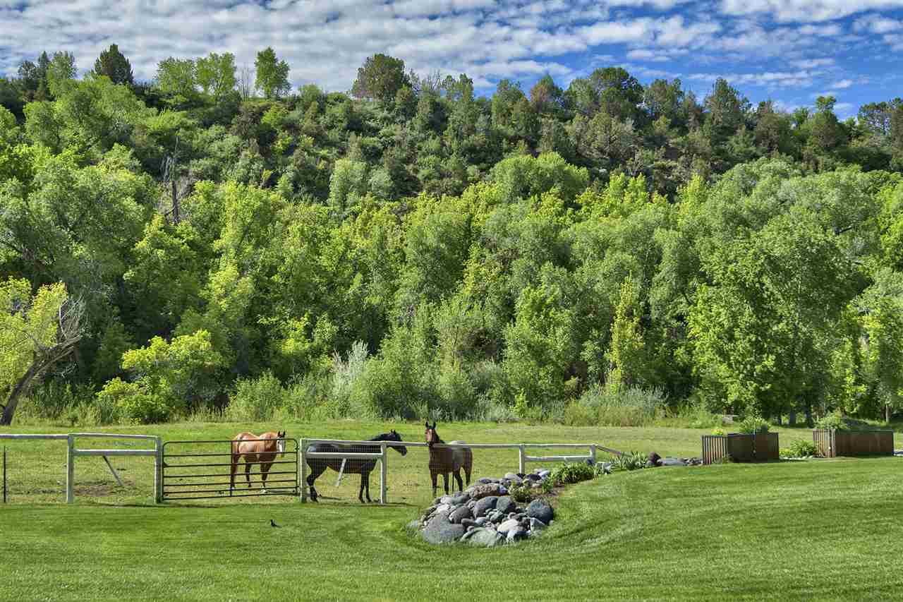 58857 58 9/10 Road Collbran, CO 81624 - Photo 6 of 42 Gallery Image 6