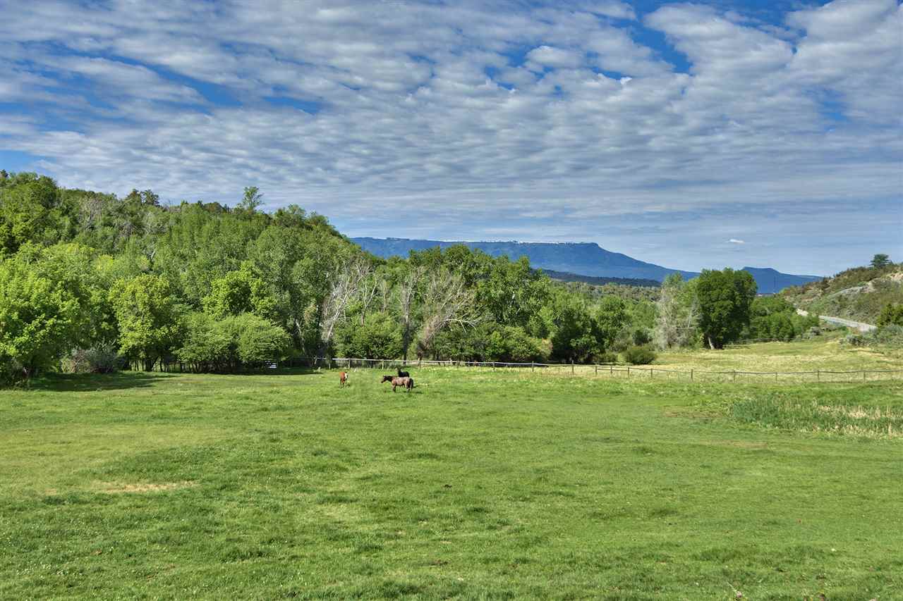 58857 58 9/10 Road Collbran, CO 81624 - Photo 8 of 42 Gallery Image 8
