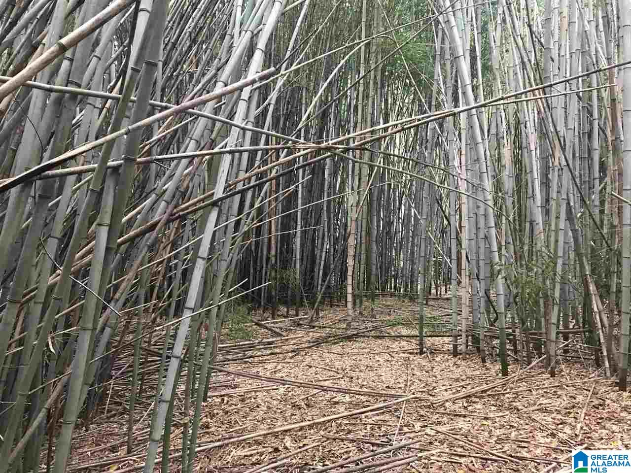 3415 Logan Martin Dam Road, Unit 48 / ACRES Vincent, AL 35178 - Photo 6 of 32