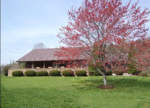 9820 Roanoke Road Elliston, VA 24087 - Photo 2 of 23 a view of a house with a yard