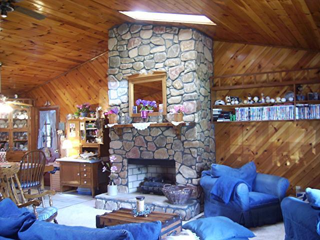 9820 Roanoke Road Elliston, VA 24087 - Photo 11 of 23 a living room with fireplace furniture and a fireplace