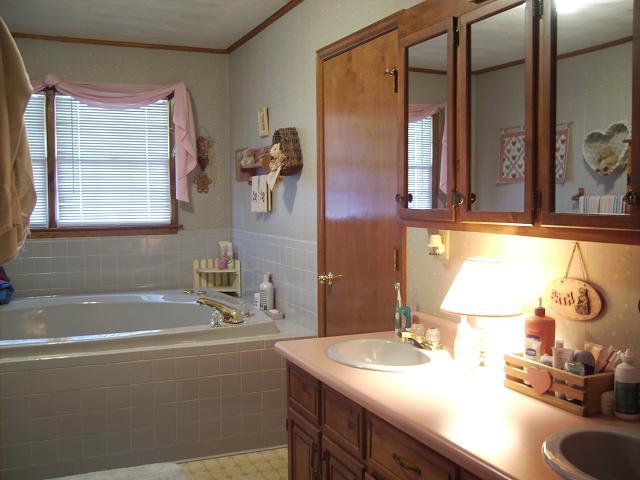 9820 Roanoke Road Elliston, VA 24087 - Photo 21 of 23 a bathroom with a sink and a mirror