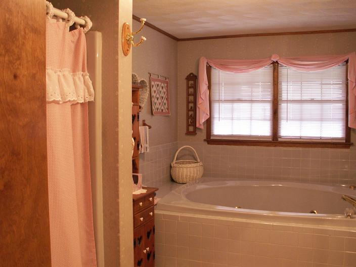 9820 Roanoke Road Elliston, VA 24087 - Photo 22 of 23 a bathroom with a shower curtain and a window