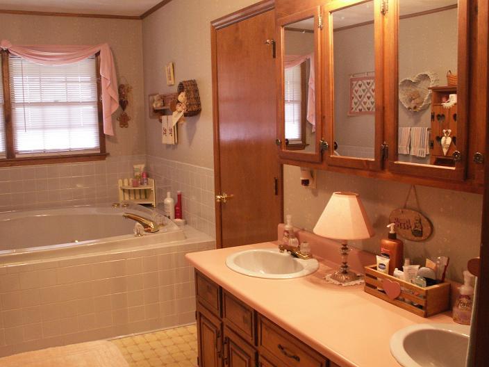 9820 Roanoke Road Elliston, VA 24087 - Photo 23 of 23 a bathroom with a sink and a mirror