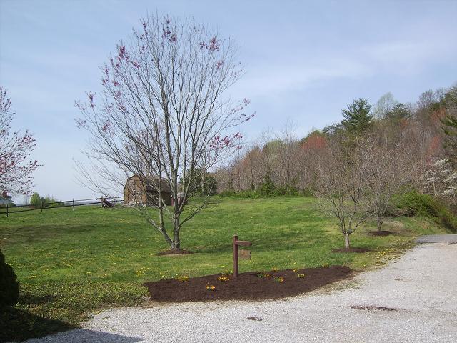 9820 Roanoke Road Elliston, VA 24087 - Photo 4 of 23 a view of a park with large trees