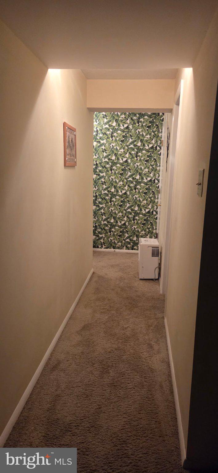 102 Jason's Ridge Smithsburg, MD 21783 - Photo 16 of 31 Charming hallway with floral accents.