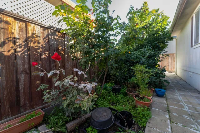 a view of outdoor space deck and patio