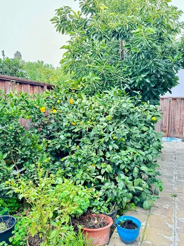 $345,000 | 3637 Snell Avenue, Unit 390, San Jose, CA 95136