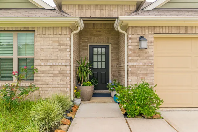 a potted plant in front of a door