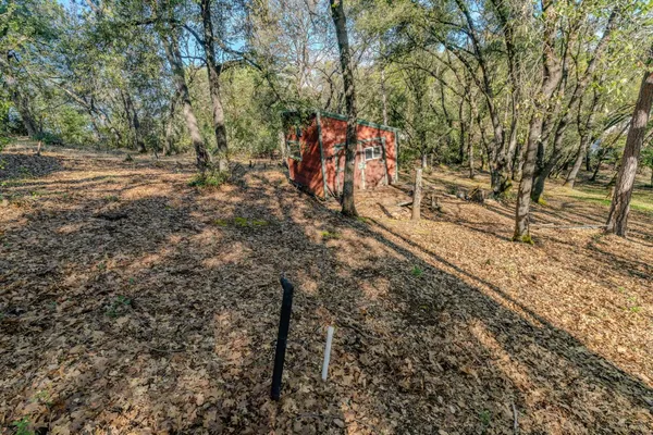 a view of a yard with a tree