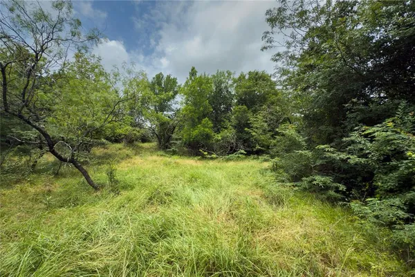 a view of a garden