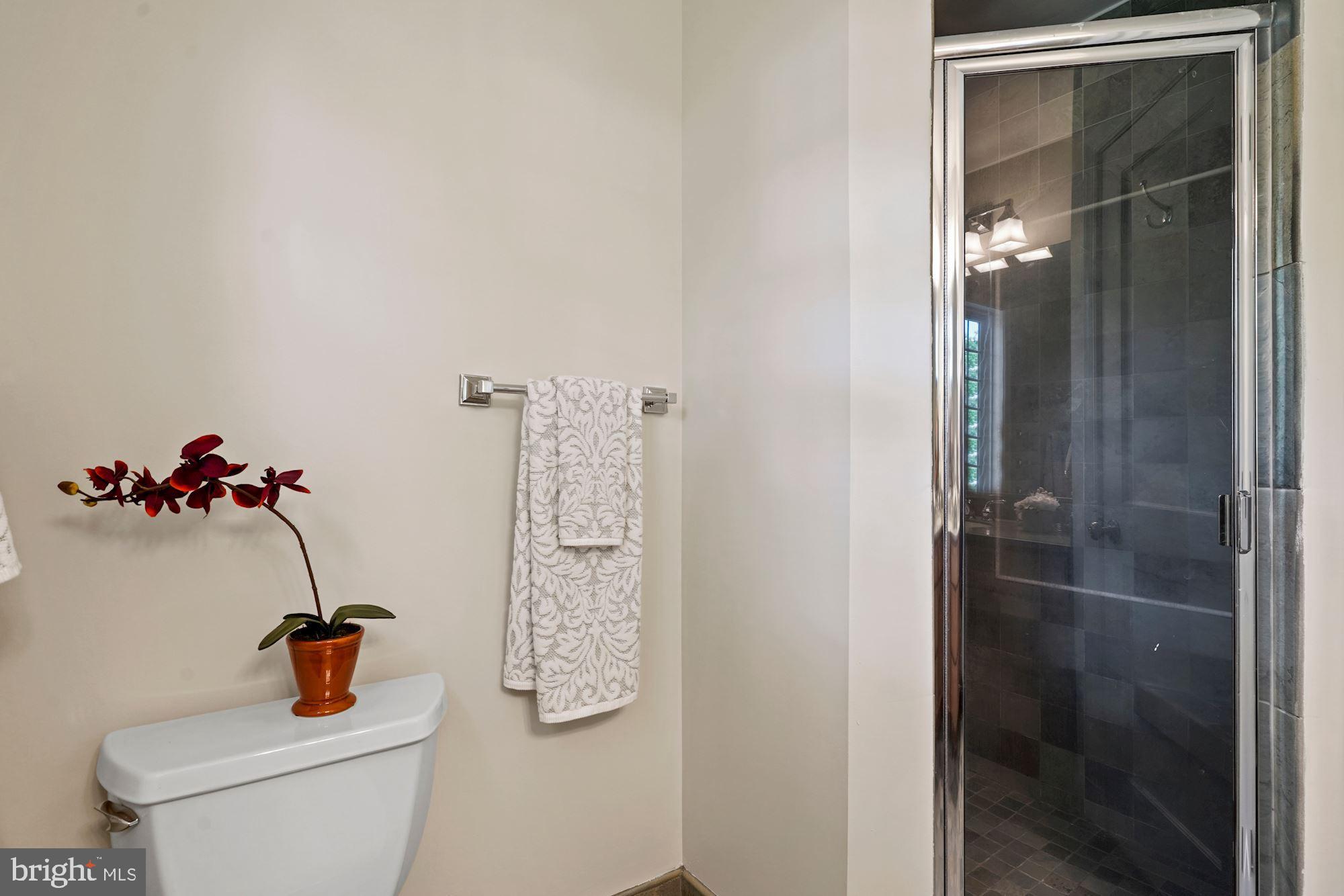 5055 26th Road North Arlington, VA 22207 - Photo 24 of 44 Primary Bath