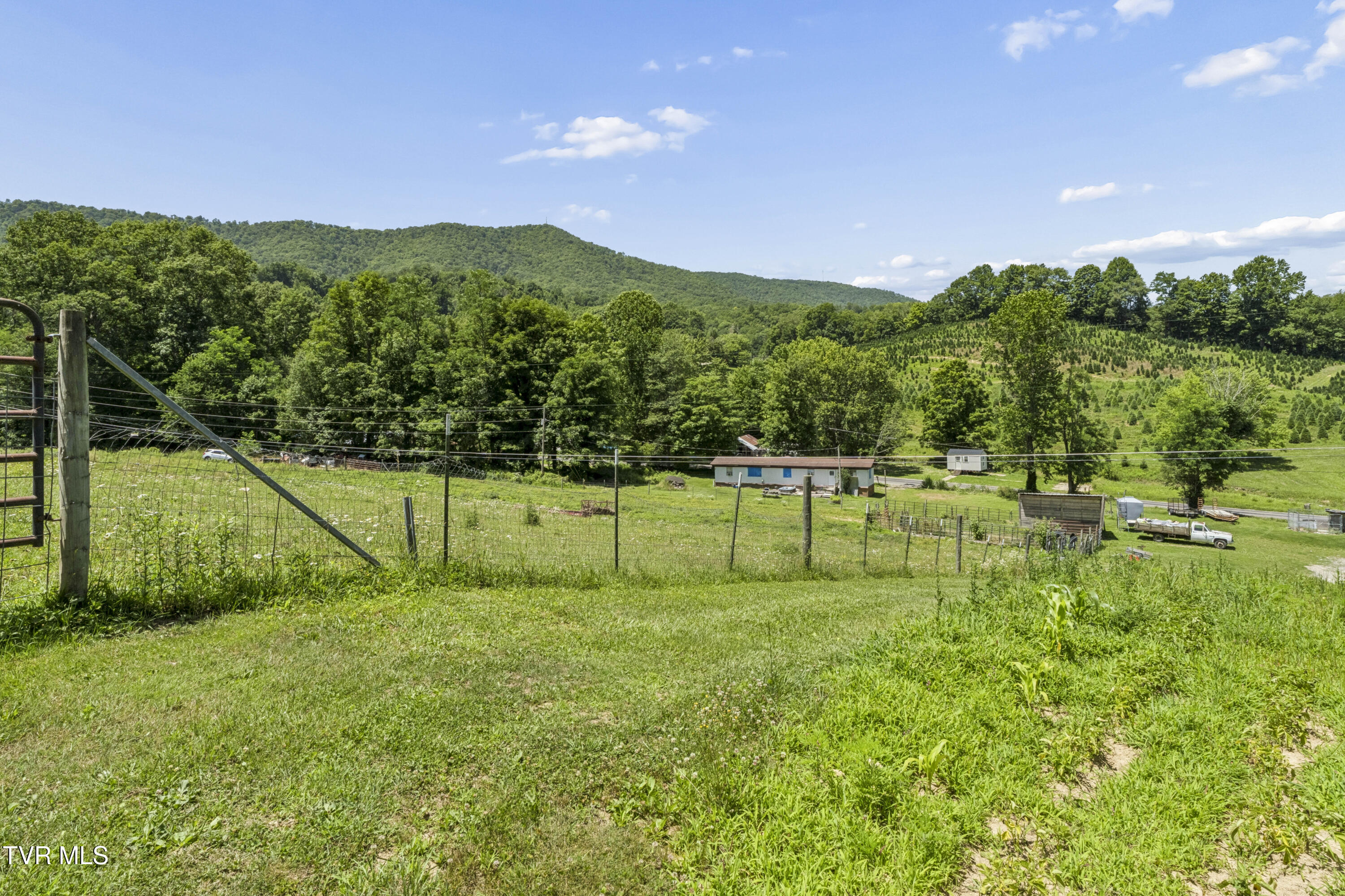 116 Eggers Branch Road Trade, TN 37691 - Photo 68 of 95 Eggers-17