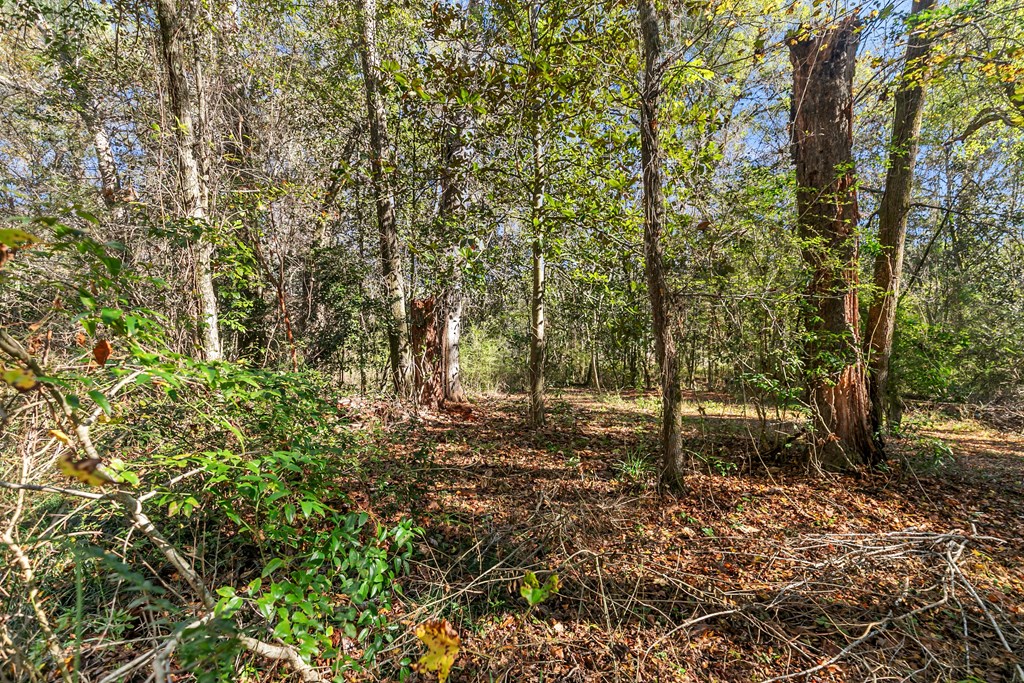 85 Sweetbay Trace Dothan, AL 36303 - Photo 44 of 76