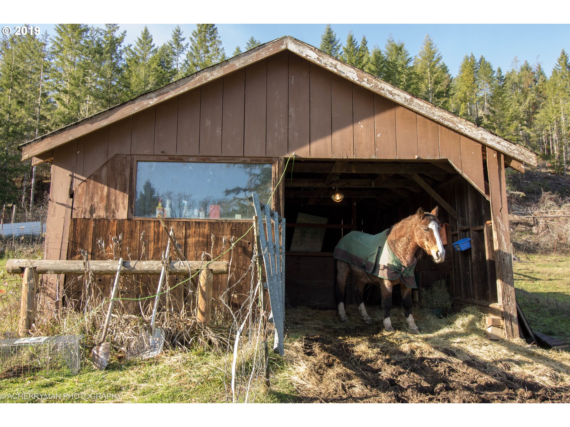 4114 Upper Camas Road Camas Valley, OR 97416 - Photo 23 of 28