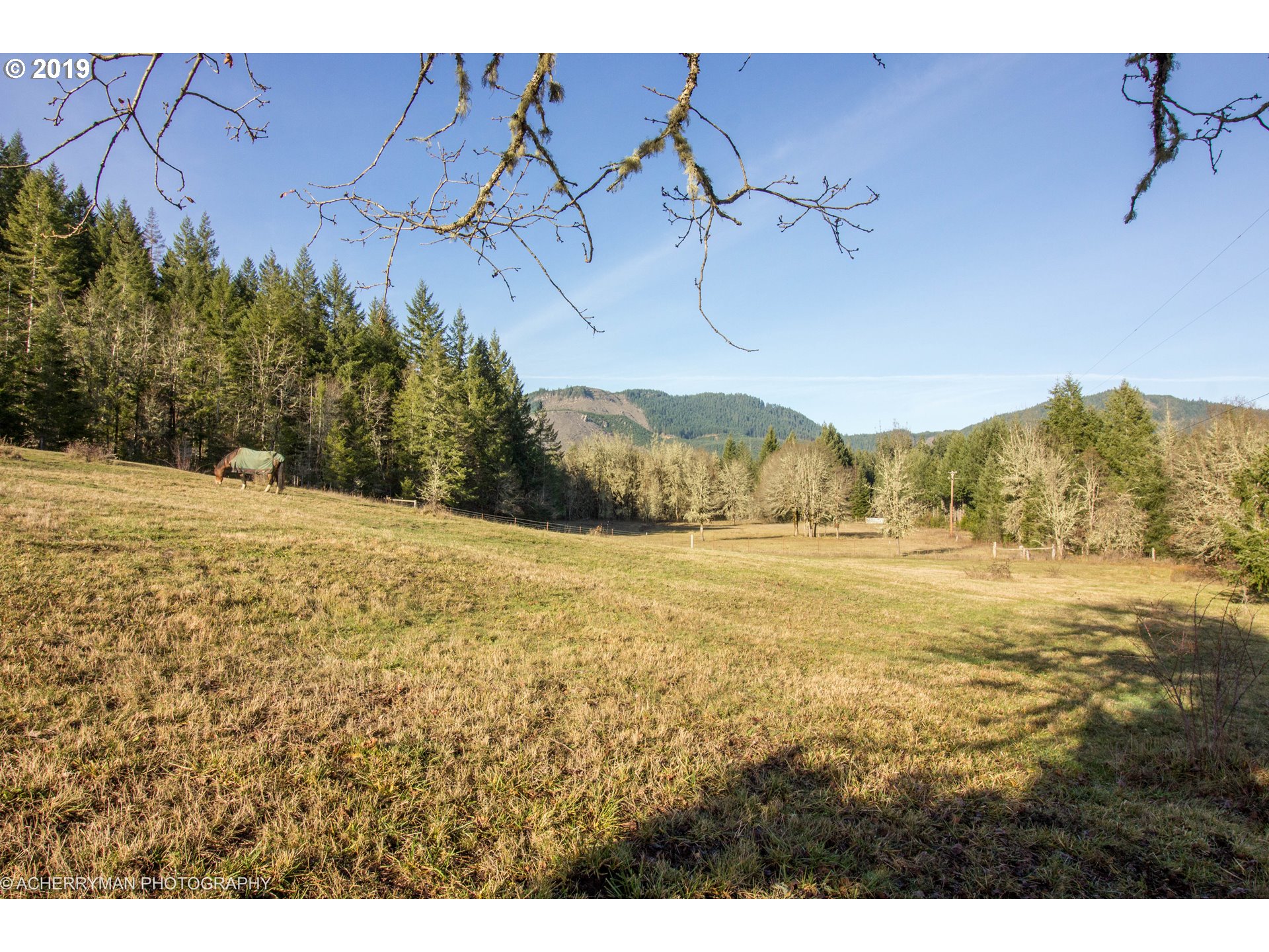 4114 Upper Camas Road Camas Valley, OR 97416 - Photo 24 of 28