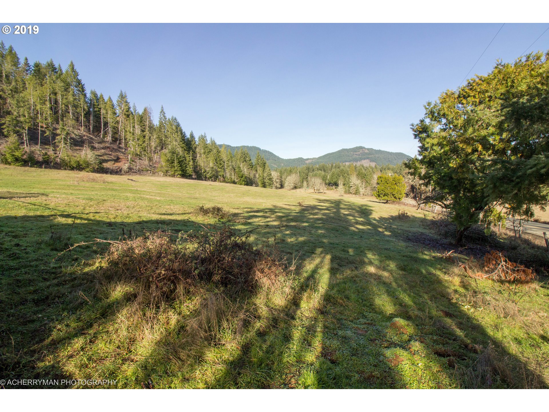 4114 Upper Camas Road Camas Valley, OR 97416 - Photo 25 of 28