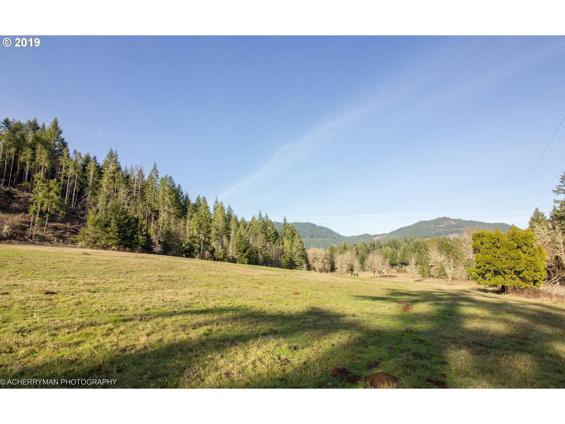 4114 Upper Camas Road Camas Valley, OR 97416 - Photo 27 of 28