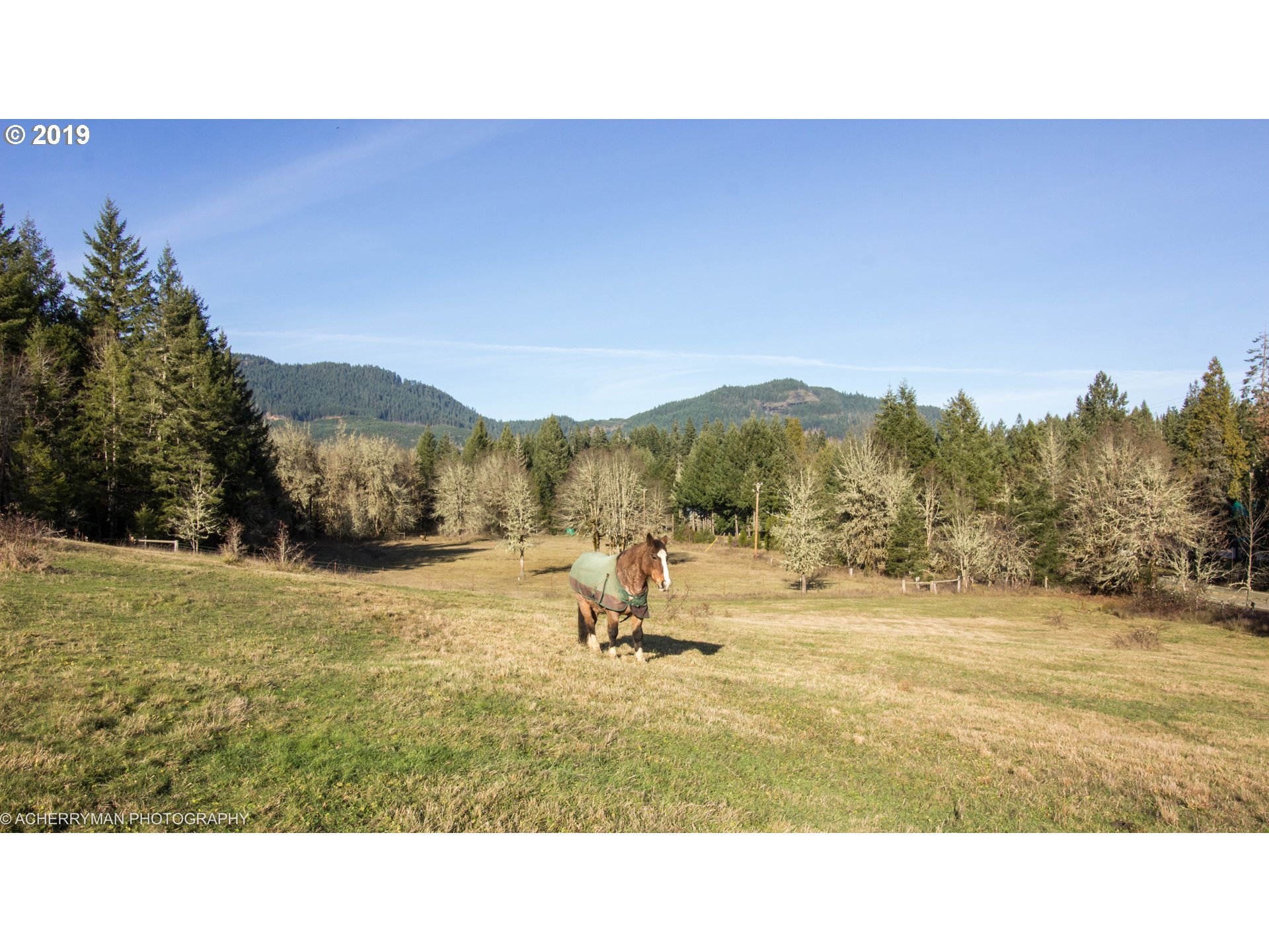 4114 Upper Camas Road Camas Valley, OR 97416 - Photo 28 of 28