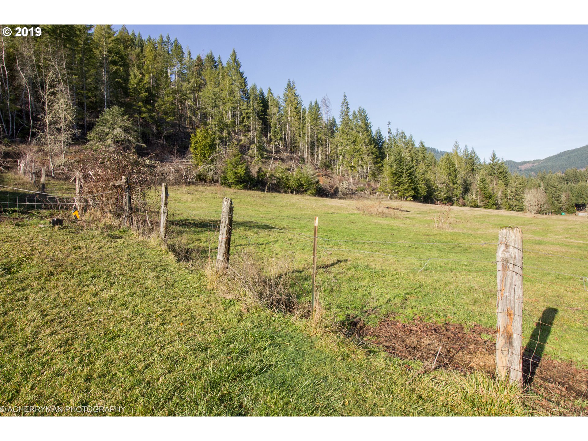 4114 Upper Camas Road Camas Valley, OR 97416 - Photo 9 of 28