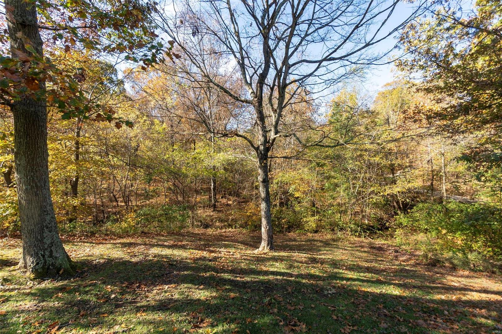 409 Oak Forest Drive Jackson, MO 63755 - Photo 47 of 49