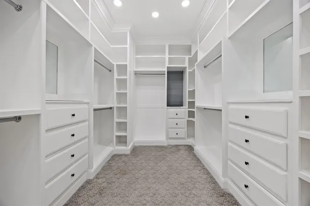 walk in closet with cabinet