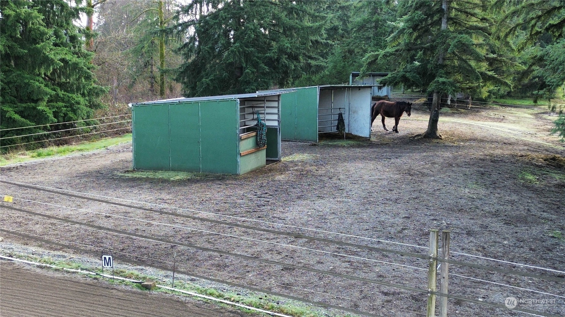 41 Williams Creek Road Oakville, WA 98568 - Photo 18 of 37 Gallery Image 18