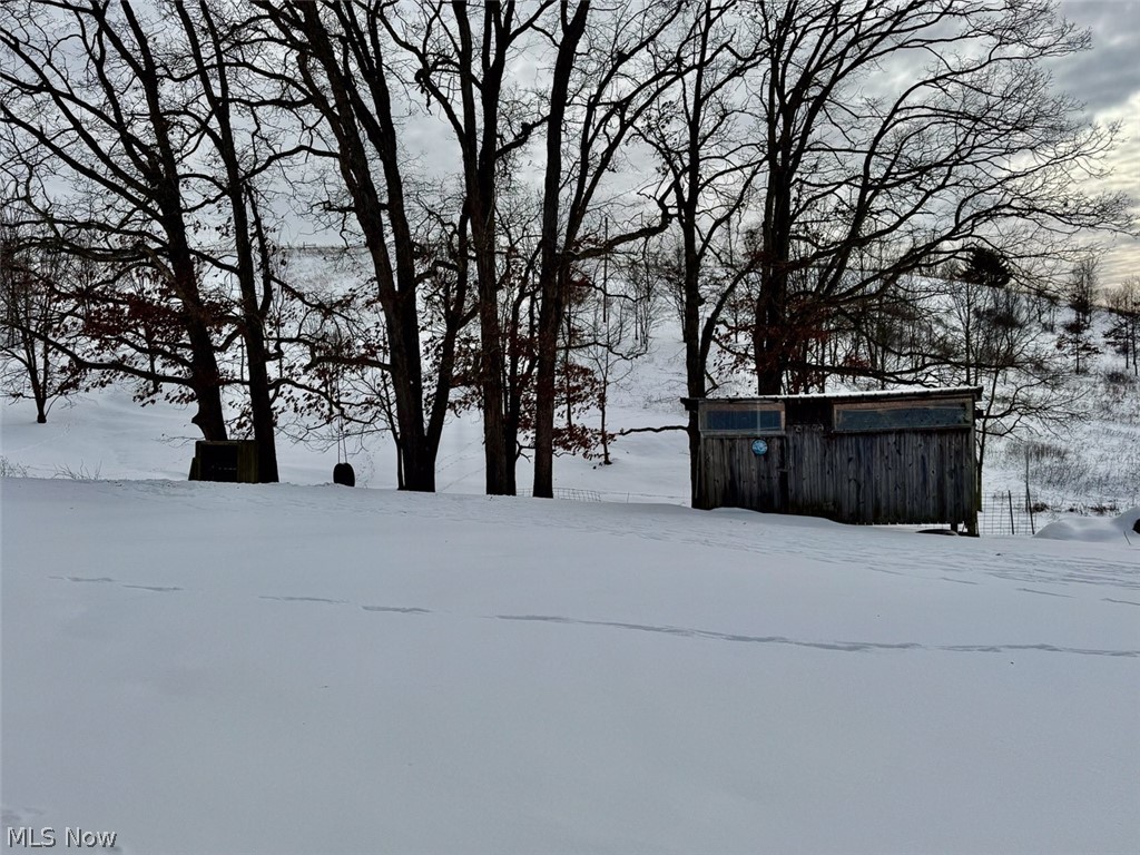 31705 Norris Road Tippecanoe, OH 44699 - Photo 43 of 49 View of snowy yard