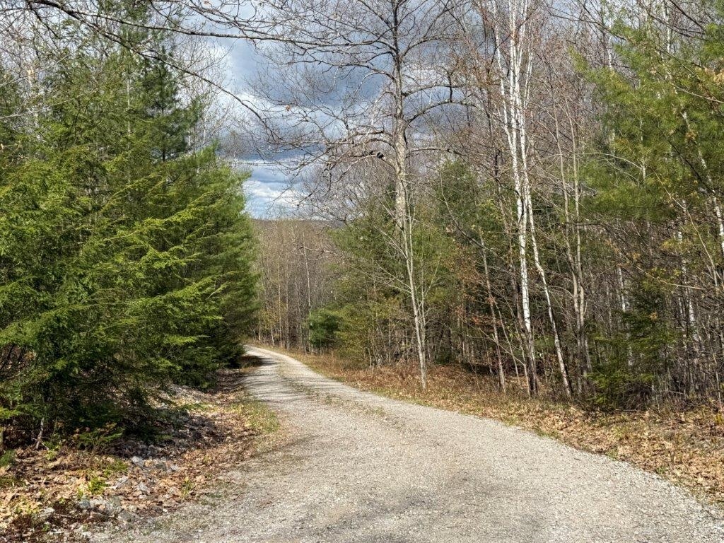 77 Williams Road Canaan, NH 03741 - Photo 7 of 57