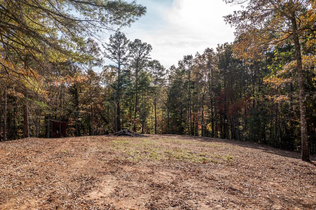 300 Springbrook Lane Murphy, NC 28906 - Photo 18 of 39 Gallery Image 18