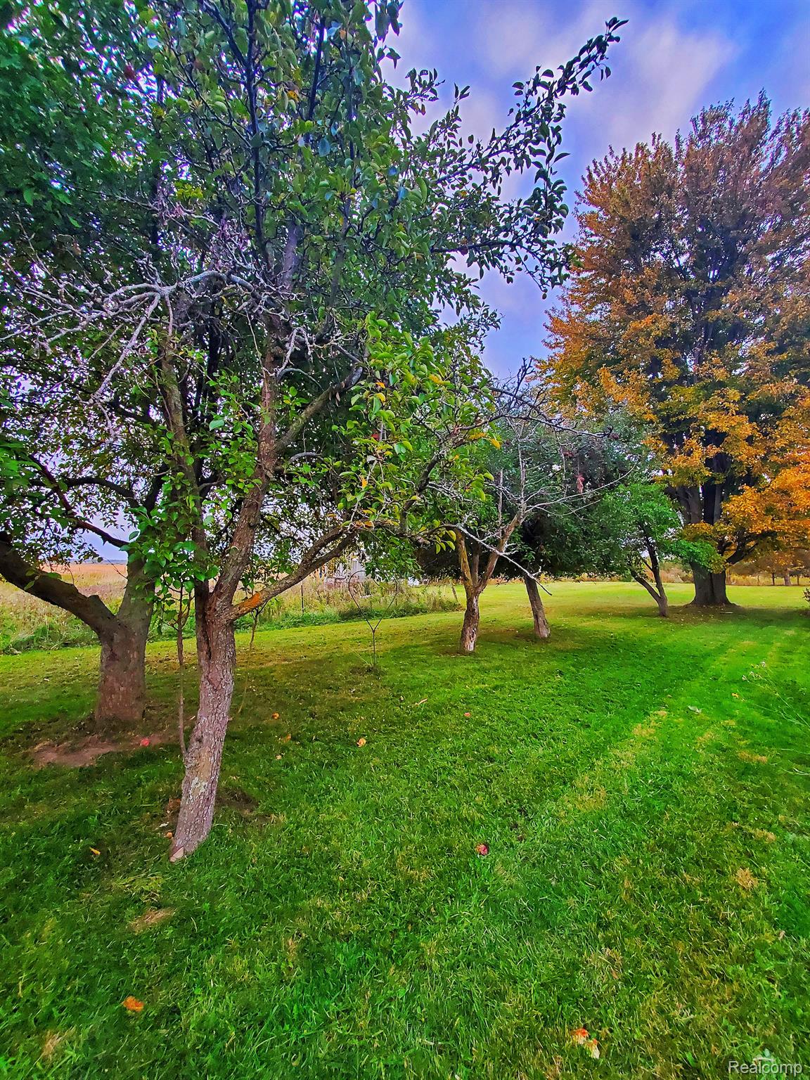 2779 Juhl Road Marlette, MI 48453 - Photo 17 of 45 Gallery Image 17