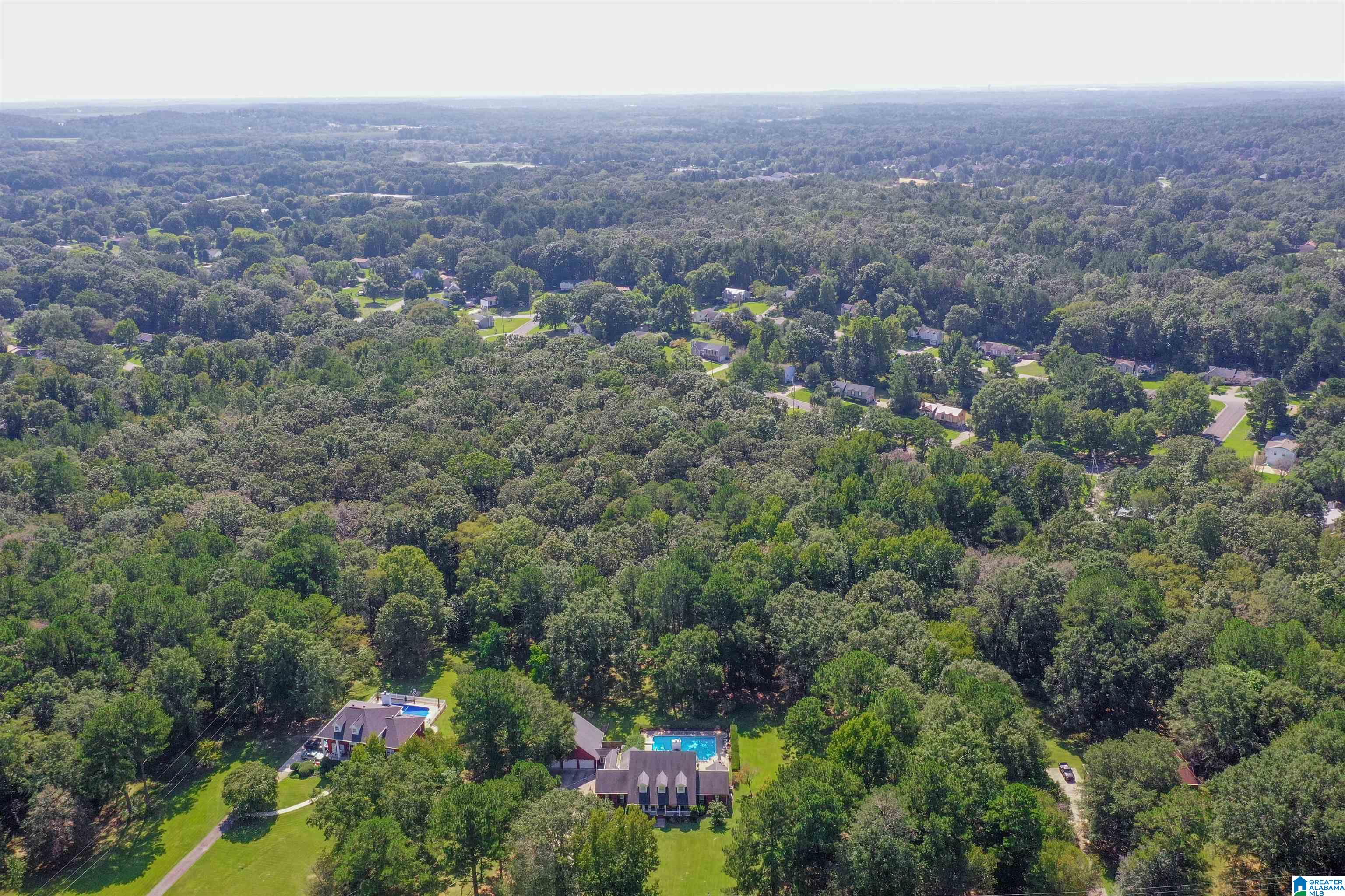 1334 Butler Road Alabaster, AL 35007 - Photo 6 of 49