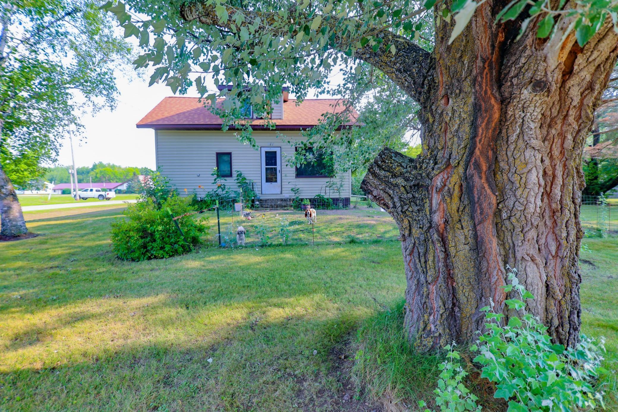 317 1st Street Southeast Sebeka, MN 56477 - Photo 1 of 1 Gallery Image 1