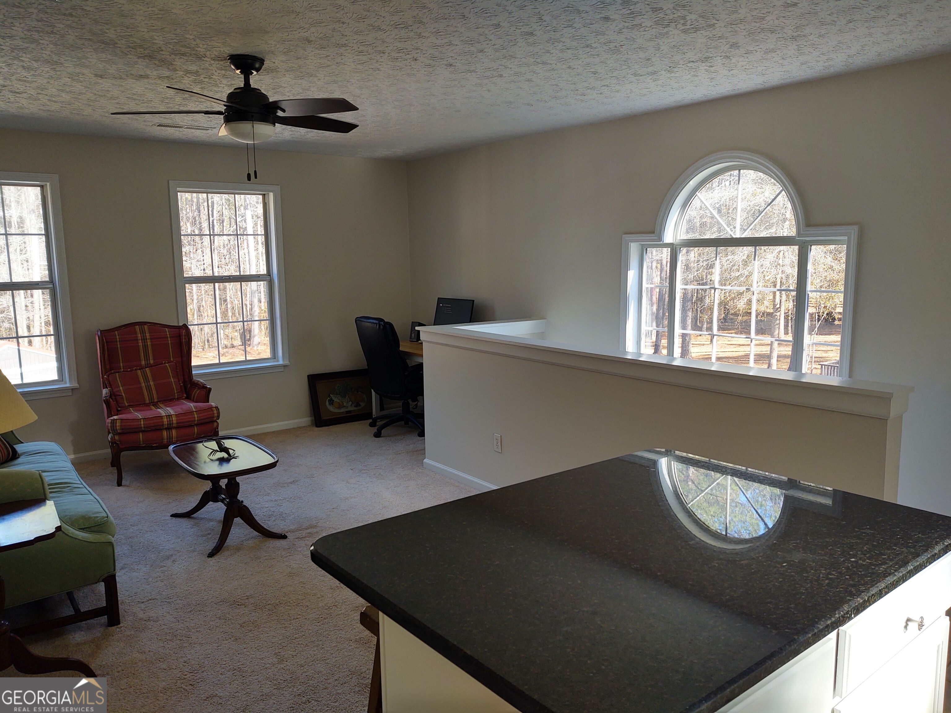 1467 Elders Mill Road Senoia, GA 30276 - Photo 6 of 17 Gallery Image 6
