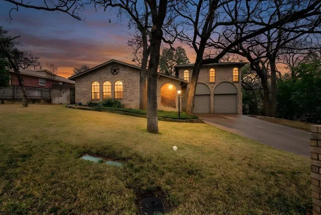 a view of a backyard with plants and large trees