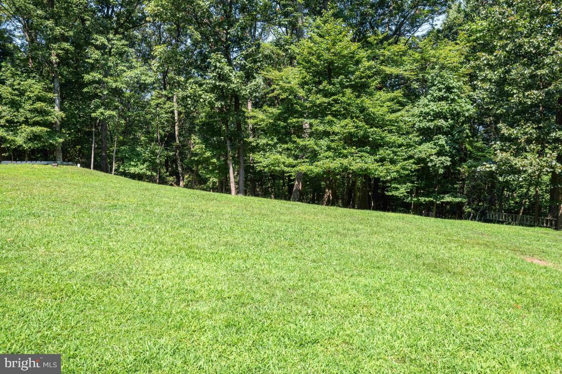 1904 Ridge Road Haymarket, VA 20169 - Photo 9 of 40