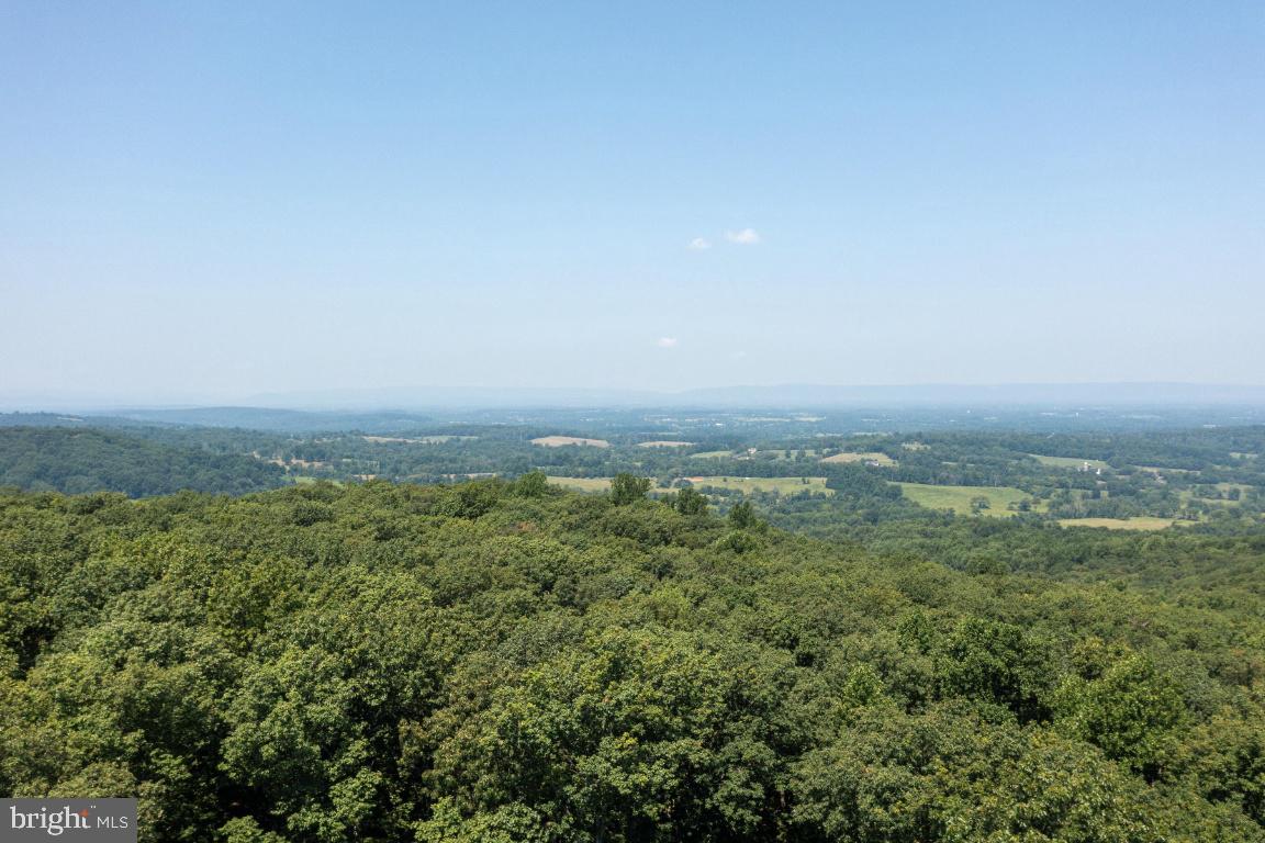 1904 Ridge Road Haymarket, VA 20169 - Photo 10 of 40
